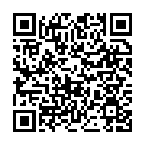 Lien vers votre campagne QRCode - Collecte de fonds