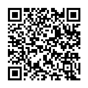 Lien vers votre campagne QRCode - Collecte de fonds