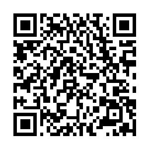 Lien vers votre campagne QRCode - Collecte de fonds
