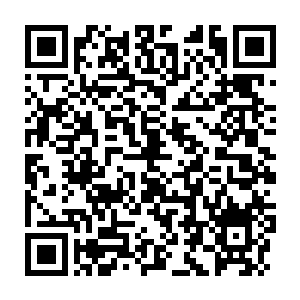 Lien vers votre campagne QRCode - Collecte de fonds