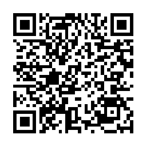 Lien vers votre campagne QRCode - Collecte de fonds