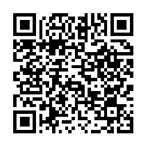 Lien vers votre campagne QRCode - Collecte de fonds