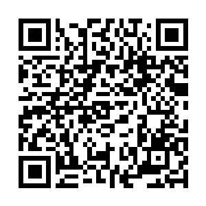 Lien vers votre campagne QRCode - Collecte de fonds