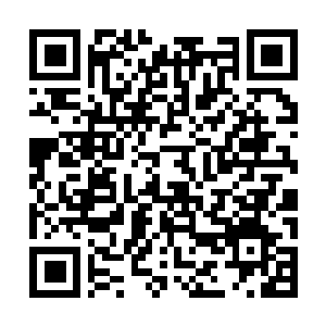 Lien vers votre campagne QRCode - Collecte de fonds