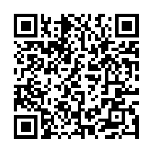 Lien vers votre campagne QRCode - Collecte de fonds