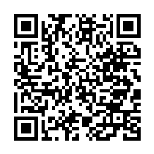 Lien vers votre campagne QRCode - Collecte de fonds