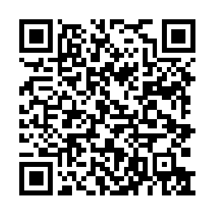 Lien vers votre campagne QRCode - Collecte de fonds