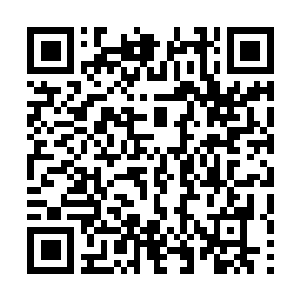 Lien vers votre campagne QRCode - Collecte de fonds