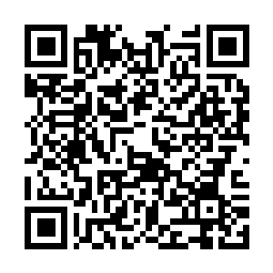Lien vers votre campagne QRCode - Collecte de fonds