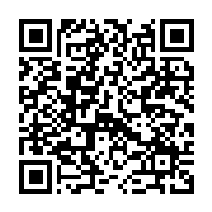 Lien vers votre campagne QRCode - Collecte de fonds