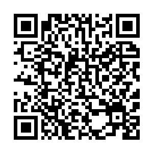 Lien vers votre campagne QRCode - Collecte de fonds
