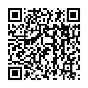 Lien vers votre campagne QRCode - Collecte de fonds
