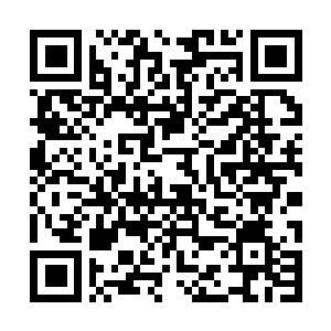 Lien vers votre campagne QRCode - Collecte de fonds