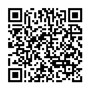 Lien vers votre campagne QRCode - Collecte de fonds