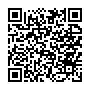 Lien vers votre campagne QRCode - Collecte de fonds