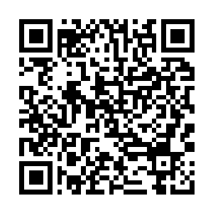 Lien vers votre campagne QRCode - Collecte de fonds