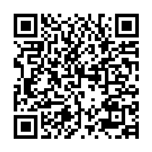 Lien vers votre campagne QRCode - Collecte de fonds
