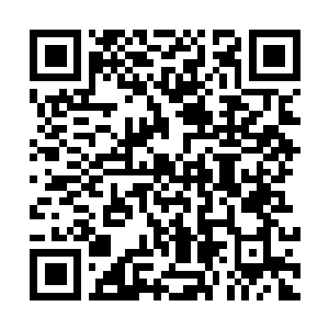 Lien vers votre campagne QRCode - Collecte de fonds
