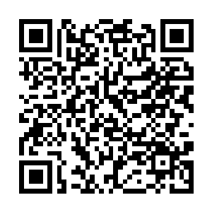 Lien vers votre campagne QRCode - Collecte de fonds