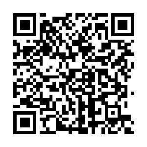Lien vers votre campagne QRCode - Collecte de fonds