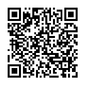 Lien vers votre campagne QRCode - Collecte de fonds