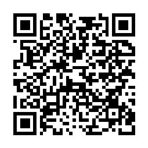 Lien vers votre campagne QRCode - Collecte de fonds