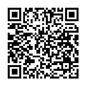 Lien vers votre campagne QRCode - Collecte de fonds
