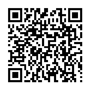 Lien vers votre campagne QRCode - Collecte de fonds
