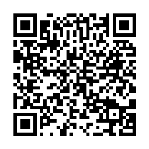 Lien vers votre campagne QRCode - Collecte de fonds