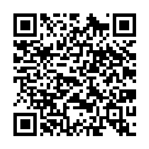 Lien vers votre campagne QRCode - Collecte de fonds