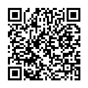 Lien vers votre campagne QRCode - Collecte de fonds