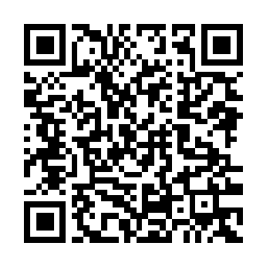 Lien vers votre campagne QRCode - Collecte de fonds