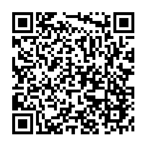 Lien vers votre campagne QRCode - Collecte de fonds