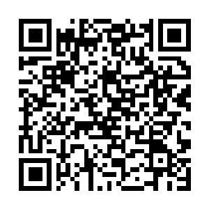 Lien vers votre campagne QRCode - Collecte de fonds