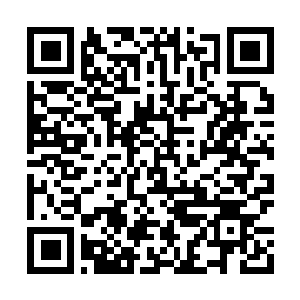 Lien vers votre campagne QRCode - Collecte de fonds