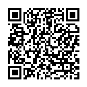Lien vers votre campagne QRCode - Collecte de fonds