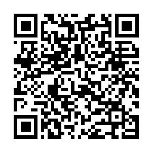Lien vers votre campagne QRCode - Collecte de fonds