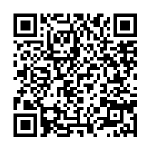 Lien vers votre campagne QRCode - Collecte de fonds