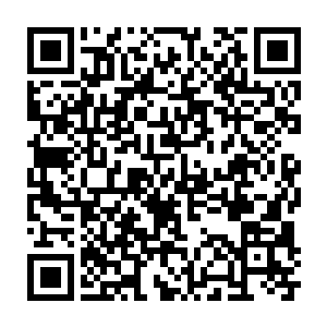 Lien vers votre campagne QRCode - Collecte de fonds