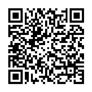 Lien vers votre campagne QRCode - Collecte de fonds