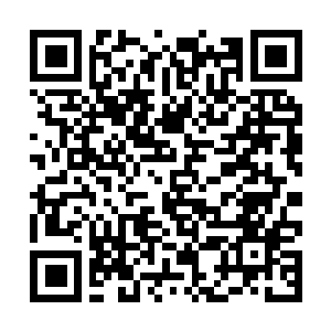 Lien vers votre campagne QRCode - Collecte de fonds