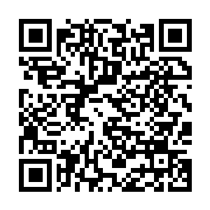 Lien vers votre campagne QRCode - Collecte de fonds