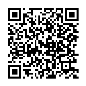 Lien vers votre campagne QRCode - Collecte de fonds