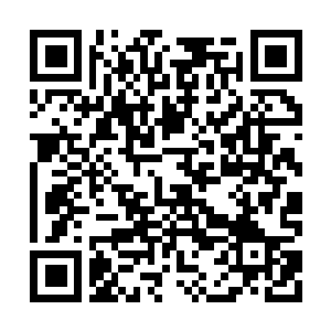 Lien vers votre campagne QRCode - Collecte de fonds