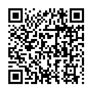 Lien vers votre campagne QRCode - Collecte de fonds