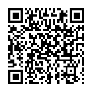 Lien vers votre campagne QRCode - Collecte de fonds