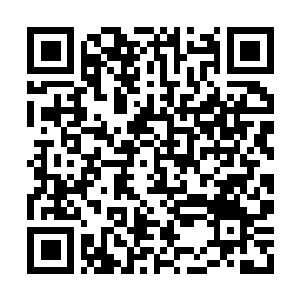 Lien vers votre campagne QRCode - Collecte de fonds
