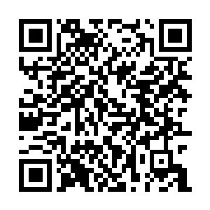 Lien vers votre campagne QRCode - Collecte de fonds