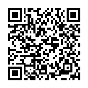 Lien vers votre campagne QRCode - Collecte de fonds