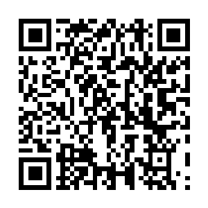 Lien vers votre campagne QRCode - Collecte de fonds